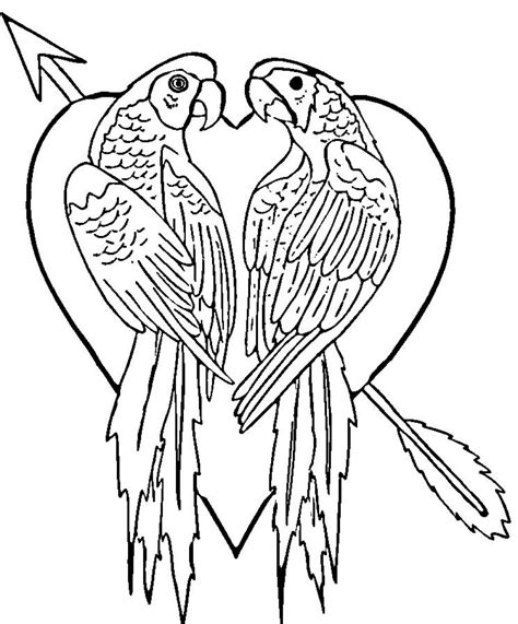 Parrot Drawing Outline at GetDrawings | Free download