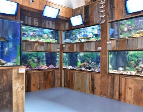 Appalachian Rivers Aquarium - A Freshwater Fish Experience