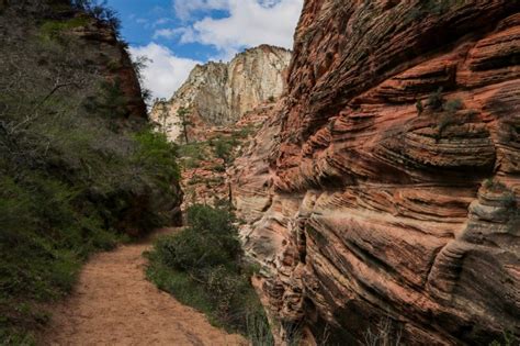 Observation Point Trail in Zion National Park, Utah - National Parks Blog