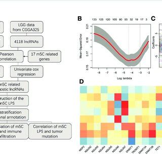 Construction Of The M C Related Lncrnas Prognostic Signature A