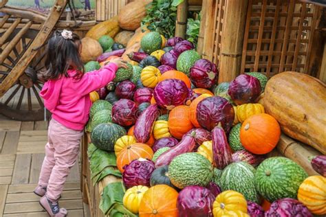 Locally Produced Fresh Organic Fruits And Vegetables Editorial Stock