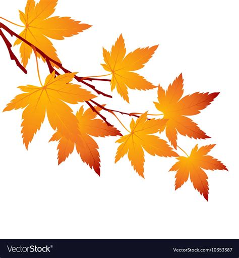 Fall Tree Branch Vector