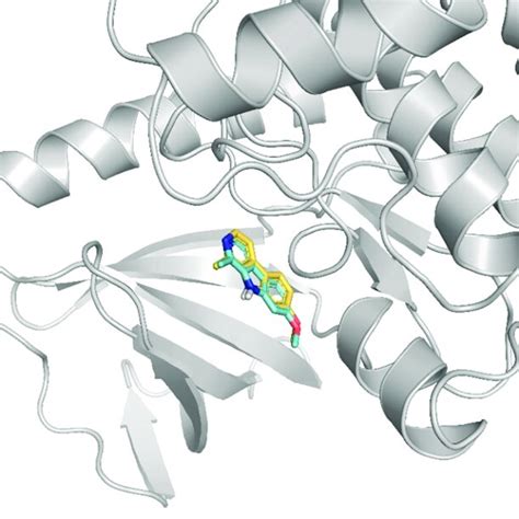 Representation Of The Crystallographic Structure Of The Human