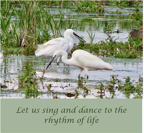 Re-balancing with Egrets – Mr G's Ponderings
