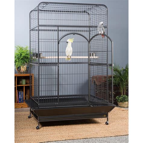 Advantages of a Metal Bird Cage | Birdcage Design Ideas