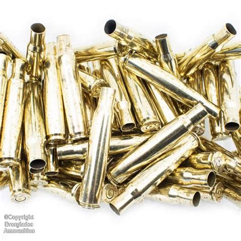 30 06 Fired Brass