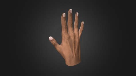 Rigged hand - Download Free 3D model by Elena FF (@elenaferfor ...