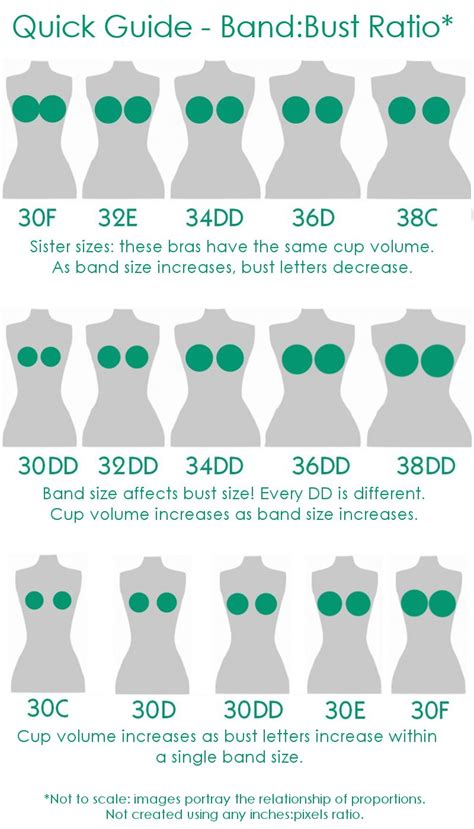 Everything You Need To Know About Bra Sister Sizes The Melon Bra