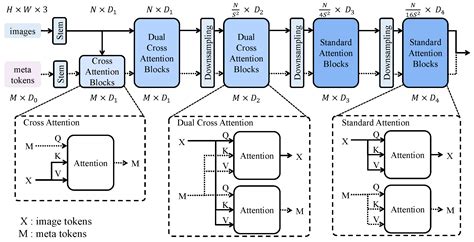 Vitae Transformer Remote Sensing Ai