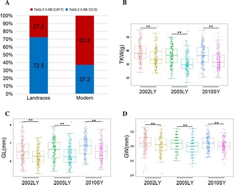 The Frequency Of Allele TaGL3 3 5B And Agronomic Traits In MCC A