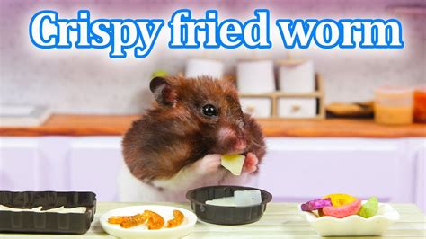 How To Make Crispy Fried Worm For Hamster Pet Mini Cooking Youtube