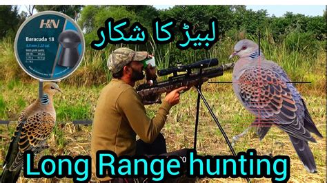 Russian Dove Hunting Qs Long Range Hunting With Baracuda Hunter