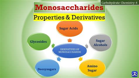 4 Monosaccharides Properties And Derivatives Carbohydrates Chemistry 4 Biochemistry Youtube