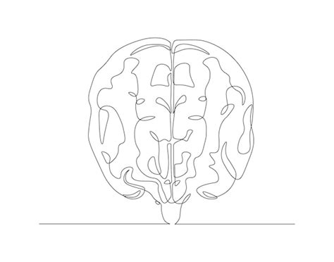 Premium Vector Continuous One Line Drawing Of Human Brain One Line Of Brain Organ Concept