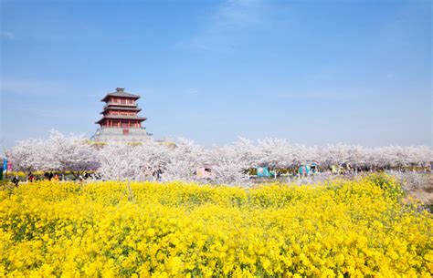 郑州春色图鉴，你想要的的春天都在这里 凤凰网旅游 凤凰网