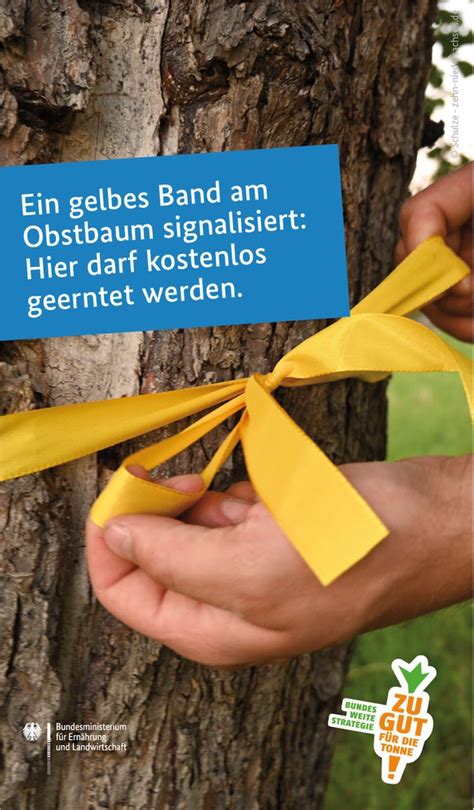 Ernteprojekt Gelbes Band Gemeinde Salzweg