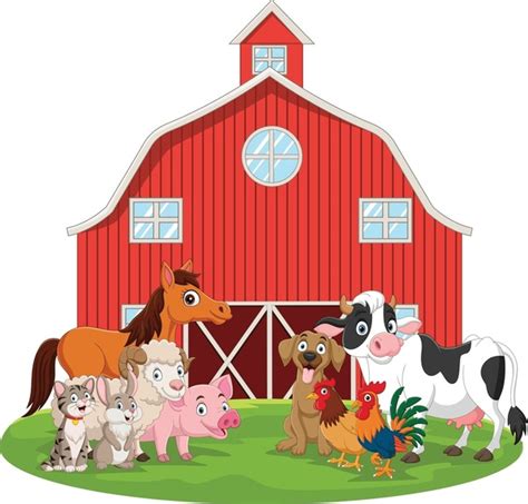 Real Barn With Animals