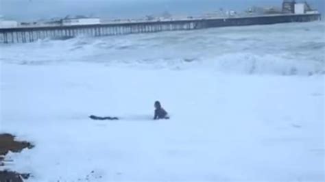 Una Mujer Arriesga Su Vida Para Salvar A Su Perro En La Playa