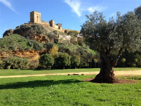 Molinos Del Guadaira Senderismo Sevilla