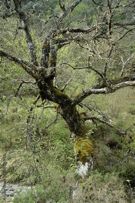 Foto De Ruta Por Los Canales Del Dulla En Quintanilla Valdebrones