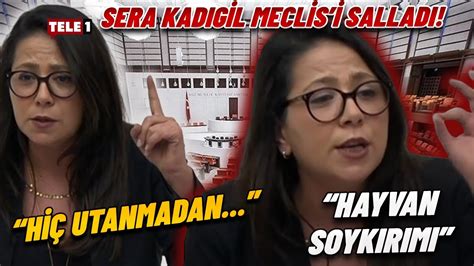 Sera Kadıgil den Meclis te tarihi konuşma AKP sıralarını işaret etti