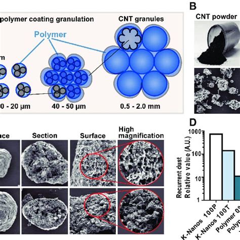 Pdf Polymer Coating On Carbon Nanotubes Into Durobeads Is A Novel Strategy For Human