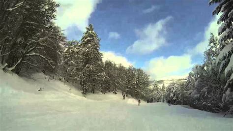 Descente Ski Dans Les Sapins Youtube