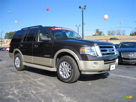 2008 Stone Green Metallic Ford Expedition Eddie Bauer 26258735 Photo 2 Car