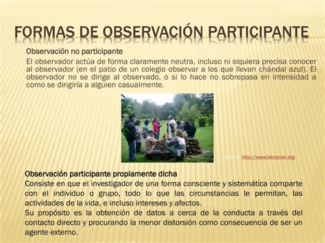 Técnica de observación participante tipos y características