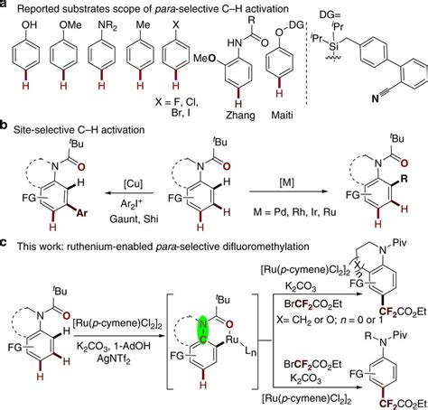 Site Selective Ch Activation Reactions A Reported Substrate Scope Of