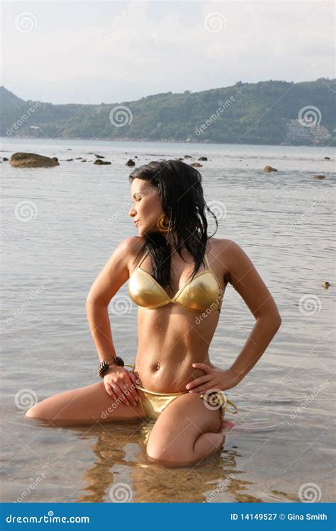 Bikini Model Stock Image Image Of Fashionable Attractive 14149527