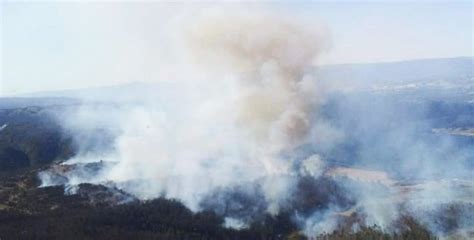 Incendio forestal Senapred ordena evacuación del sector Paso Hondo en