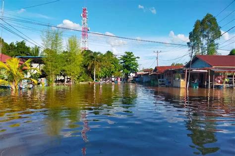 Ribuan Keluarga Terdampak Banjir Di Sintang Rendam 12 Kecamatan Lima