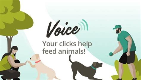 The Voice Program Has Just Launched In Canada Yummypets