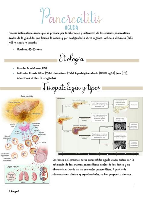 Solution Resumen Pancreatitis Aguda Y Cr Nica C Ncer De P Ncreas Y Sd