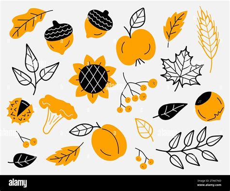 Set Of Autumn Harvest Elements Leaves Berries Fruits Vegetables