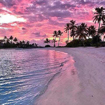 "Beach Sunset, Tropical Beach, Tropical Sunset, Calm Beach, Pink Sunset ...