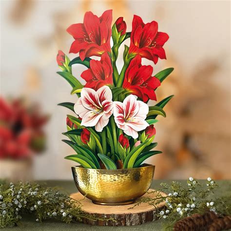 Snapklik Freshcut Paper Pop Up Cards Scarlet Amaryllis Inch