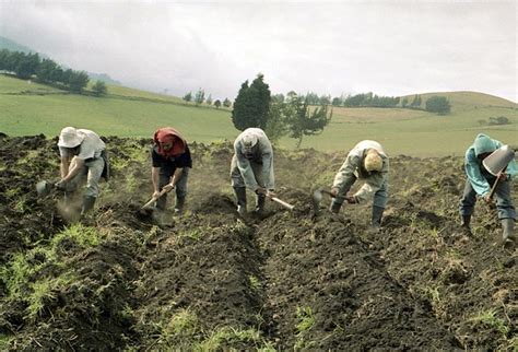 Claves Para Proteger Los Cultivos Frente Al Fenómeno De El Niño Contexto Ganadero