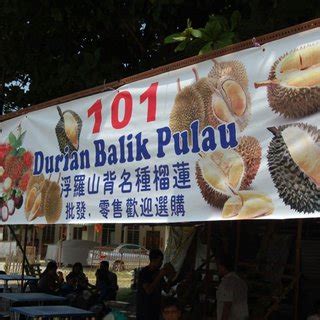 Durian Planting Guide Pdf Kevin Johnston