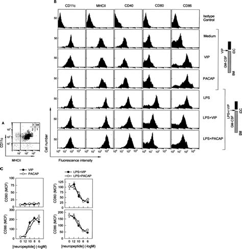 Vip And Pacap Differentially Regulate Cd80 And Cd86 Expression In Idc Download Scientific