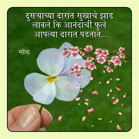 Parijat Flower Quotes In Marathi