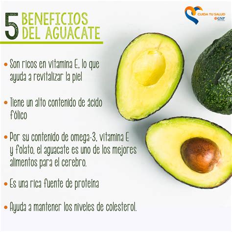 Que Es El Aguacate Y Sus Beneficios Estos Beneficios 13416 Hot Sex Picture