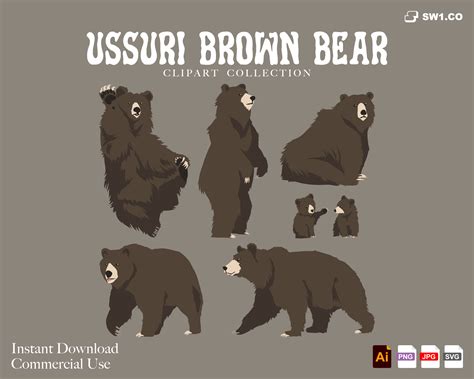 Ussuri Brown Bear Clipart Set Instant Download Commercial Use Brown