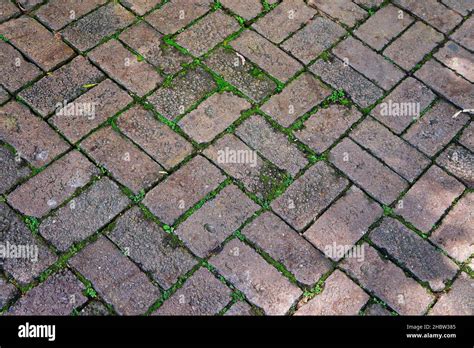 Patterned paving bricks, cement brick floor Stock Photo - Alamy