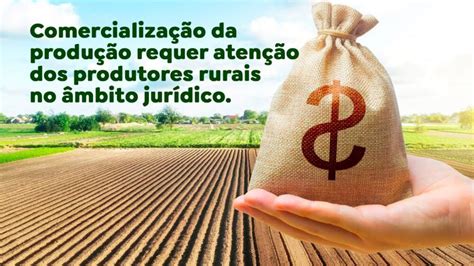 Comercializa O Da Produ O Requer Aten O Dos Produtores Rurais No