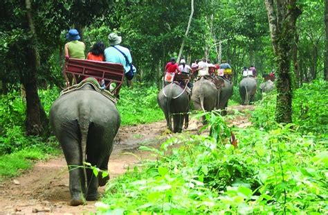 Eco Tourism Experiences in Thailand