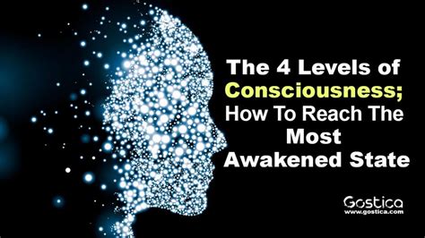 The 4 Levels Of Consciousness How To Reach The Most Awakened State