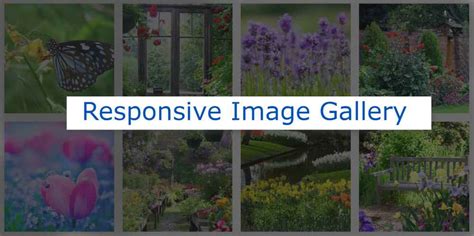 Responsive Image Gallery using HTML and CSS