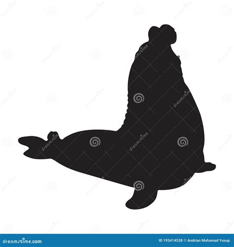 Elephant Seal On White. Vector Illustration | CartoonDealer.com #74615496